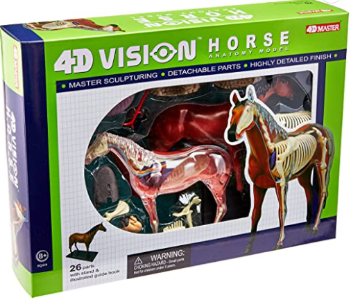 Tedco 4D Vision Horse Model